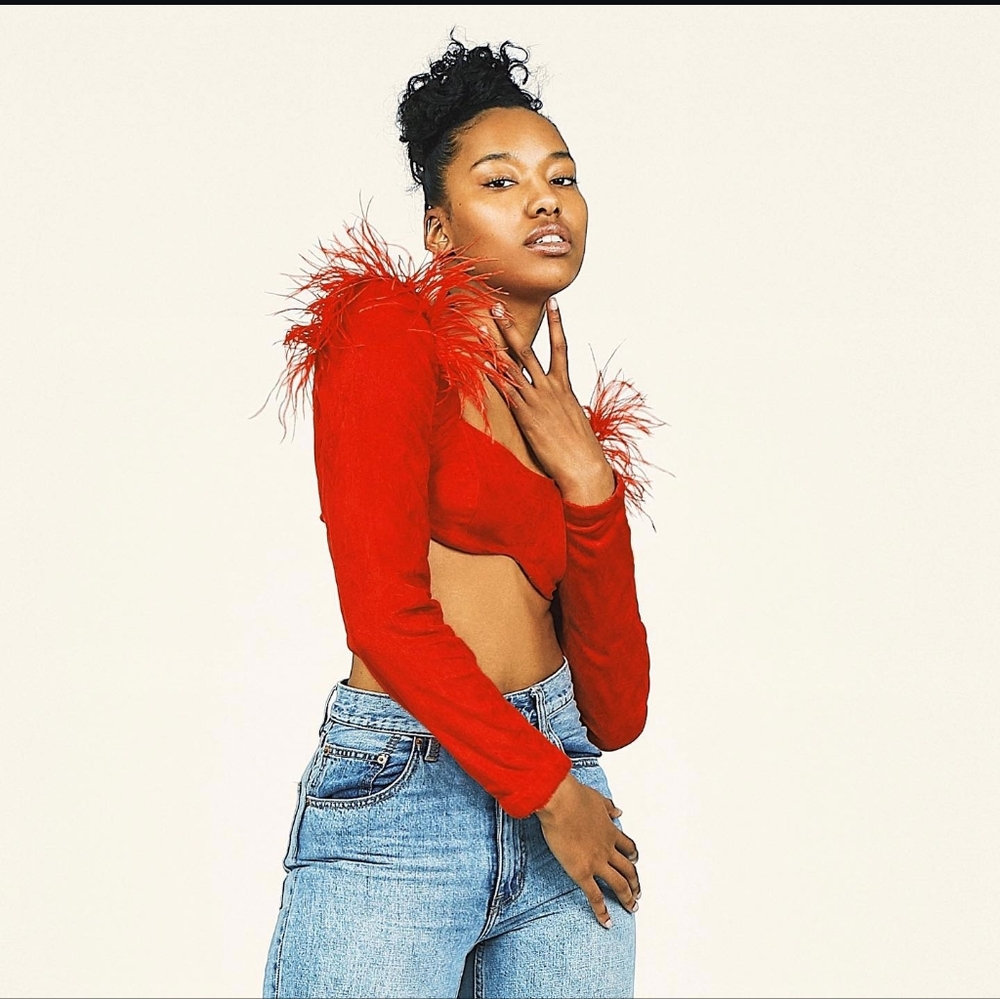 Hanifa Red Embellished Crop Top